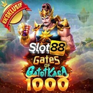vs20sl88olympx