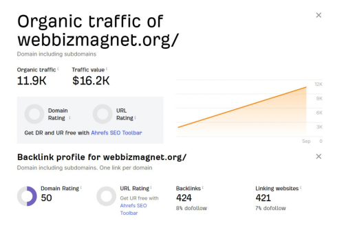 webbizmagnet.org.png
